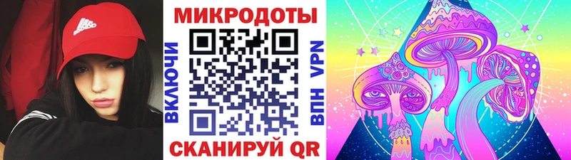 Псилоцибиновые грибы Psilocybe  Владимир 